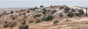 An image of the Palestinian village of Khalet a Dabe; sandy foreground and many trees with a blue sky